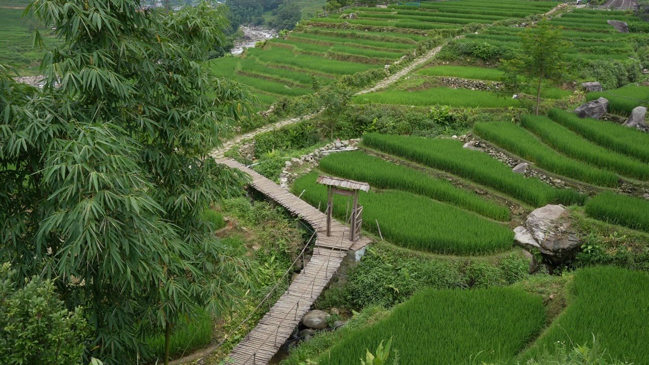 Sapa 4 Day Hike Seo Mi Ty, Ta Trung Ho, Ban Sai Village
